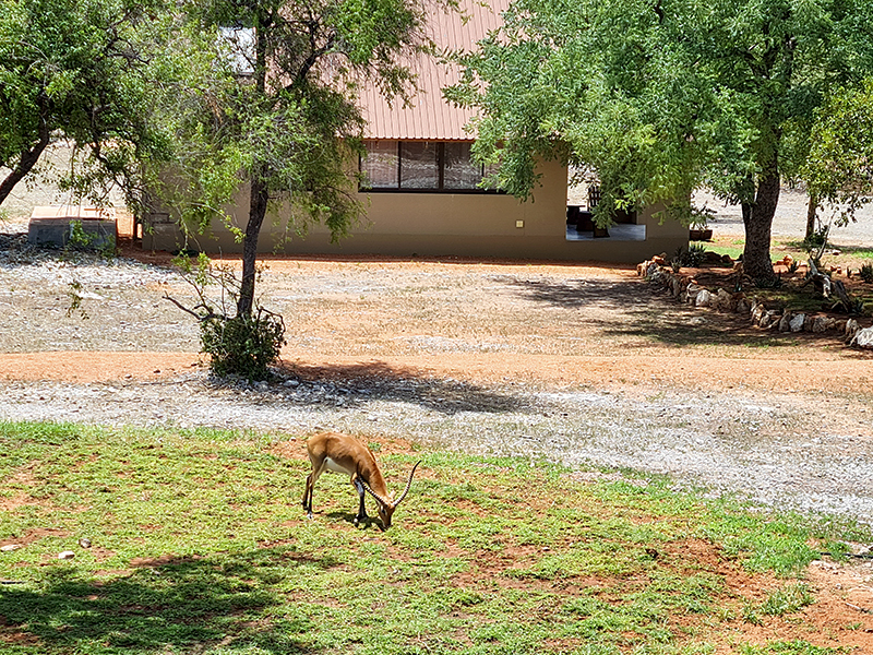 Callies Game Lodge Luxury Chalet En-Suite Bathroom